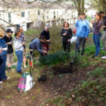 Community gardening: a chance to chat